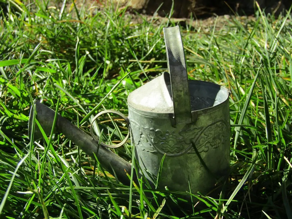 Penzion Cortijo Brazal La Ventaja Laroles Venkovský dům